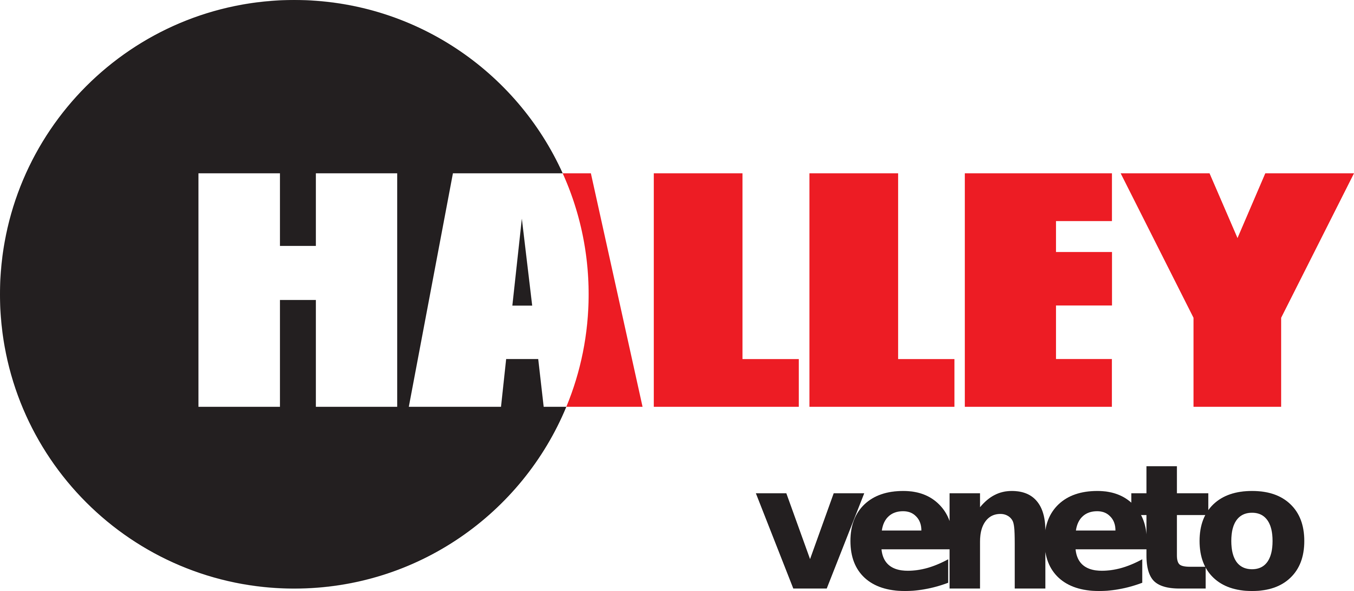 logo halley Veneto